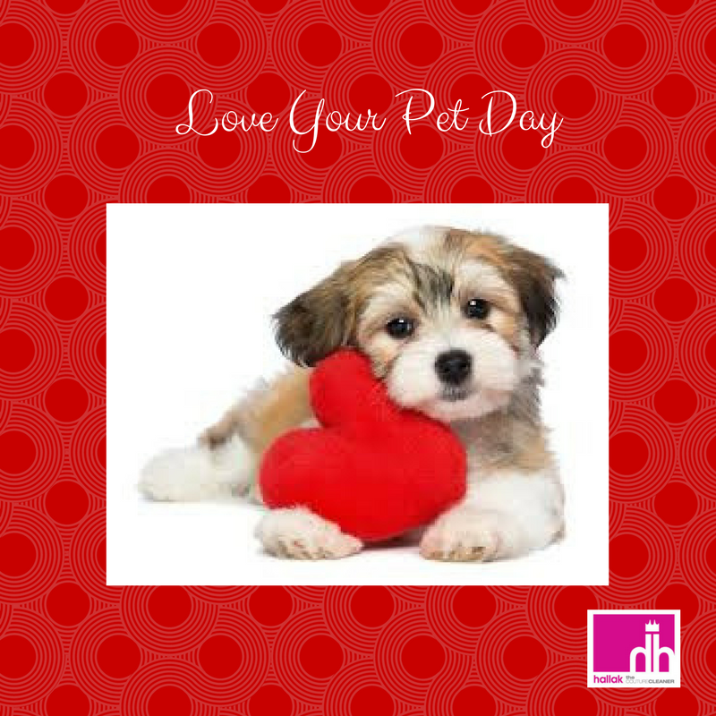 Presidents' Day 2017...National Love Your Pet Day! - Hallak Cleaners